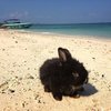 Круиз по 9 островам — фото 5